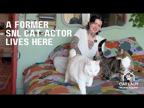 This cat had a scene with Kate McKinnon and Kristin Wiig | Cat Lady Home Tour