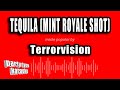 Terrorvision - Tequila (Mint Royale Shot) (Karaoke Version)
