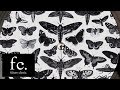Bodhi - No More (Charles Murdoch Remix) 