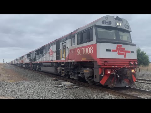 Up SCT 3PM9 with SCT008 SCT012 CSR008 at Gheringhap heading from Perth to Melbourne 21/4/2023