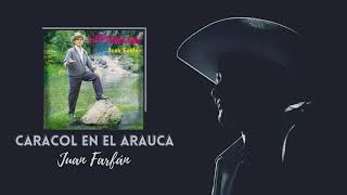 Caracol En El Arauca Lyrics English Translation