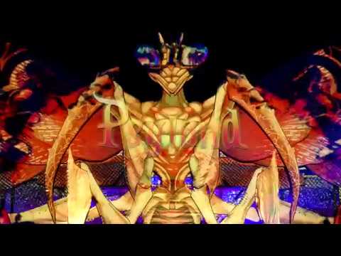 Psyland Gathering - 2019