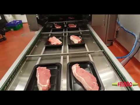 Frimaq Model TSA-826 Automatic Tray Sealing Machine