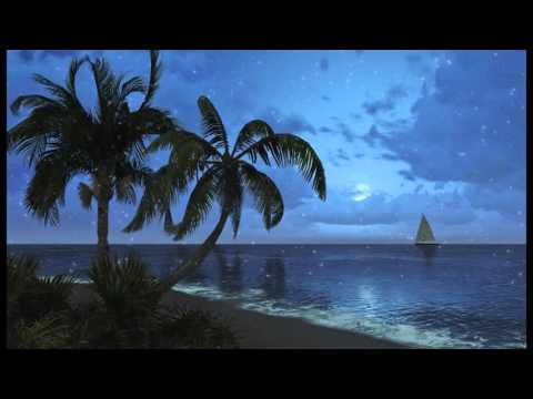 1 hour of Tropical Beach Sounds at night. Relaxing sea waves to help sleep.