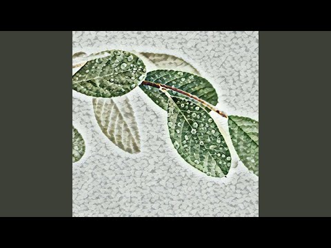 Late Night Hours of Work