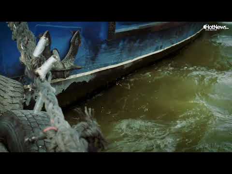 Cum a salvat un localnic din Plauru un ucrainean care a trecut Dunărea înot