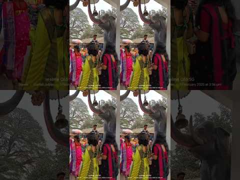 Chhi Chhi Re Nani #jalpesh #mandir #highlights #ghanti #get #elephant