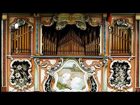 Clarinet Polka - De Pronkjewail