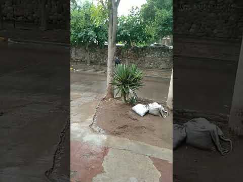 Lluvia en Las Heras, Mendoza 31/01/2026 18:15 hs