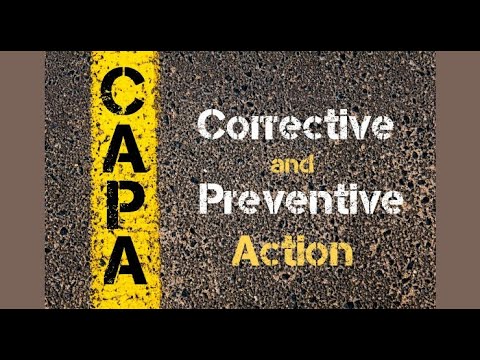 Customer Experience Audit