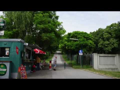 Der Wiener Sportklub und sein verfallenes Stadion