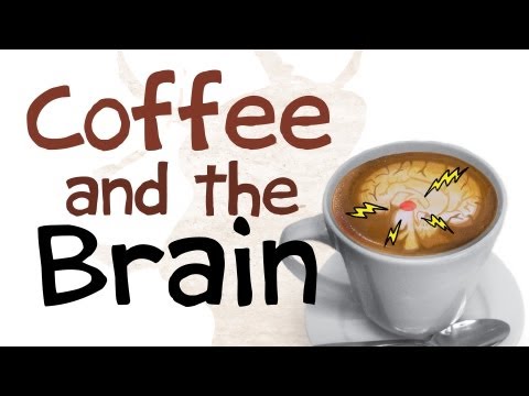 Caffeine Videos | PSY 383: Psychoactive Drugs, Fall 2014, Dr. Karns