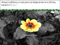 ΒΡΕΣ ΤO ΔΙΚΟ ΣΟΥ ΝΕΡΟ!!!