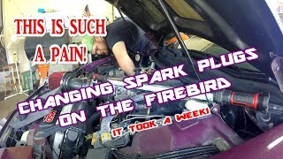 CHANGING SPARK PLUGS ON THE FIREBIRD (IT TOOK A WEEK!)