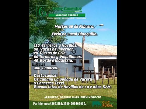 25/2/2025 Blanquillo - Durazno - Fredy González y Cía Ltda - Diego Prego