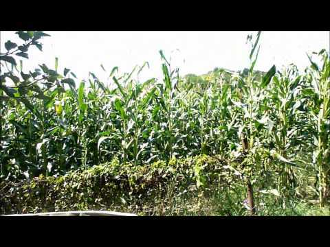 Velika Horvatska -Zagorje