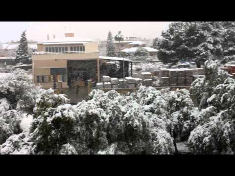 Nevada Son Ferrer 04/02/2012