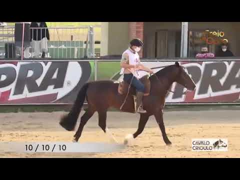 QUERENDON DO RECANTO CRIOULO