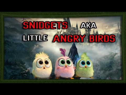 How To Open The Door for Snidgets - Hogwarts Legacy - PC Gameplay