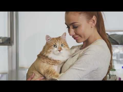 15 Foods That Are TOXIC to Cats!