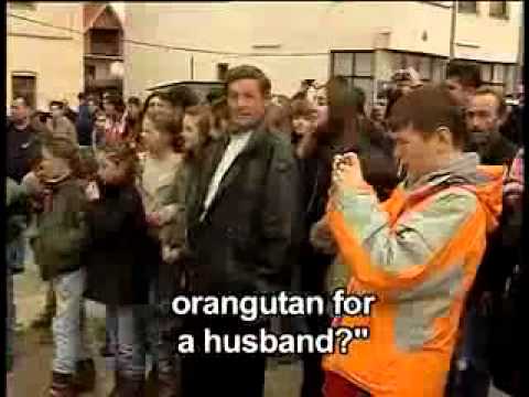 Štrpce - Pročka - Bele Poklade