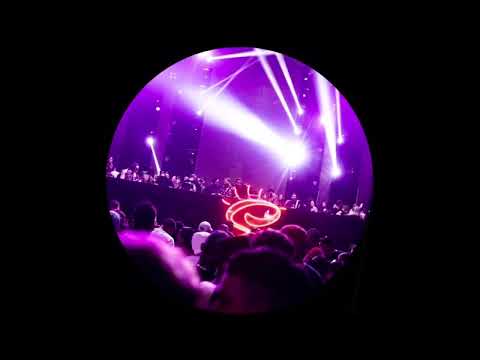 Bassel Darwish - Paradise