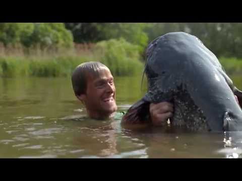 Preview on the MADCAT program  2016 presented by Jakub Vágner.