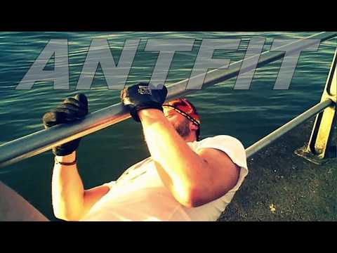 ANTFIT X 410 (Turna X Blackz X C17 Valenti) (239)