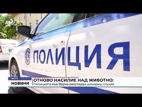 Отново насилие над животно: Полицията във Варна разследва шокиращ случай 
