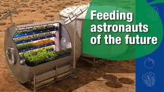 Feeding the astronauts of the future