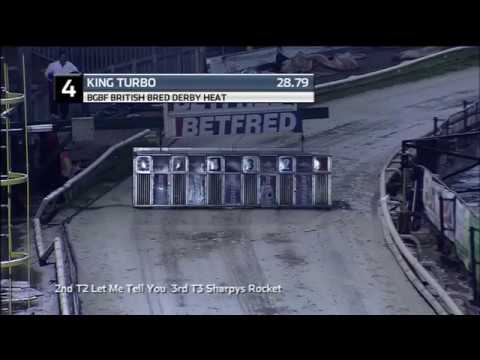 BGBF BRITISH BRED DERBY - HEAT 4 - T4 KING TURBO