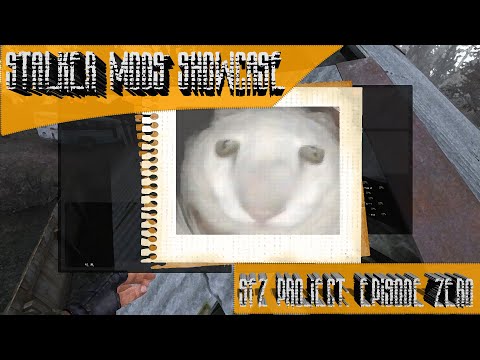 Stalker Mods Showcase 118 - SFZ Project: Episode Zero