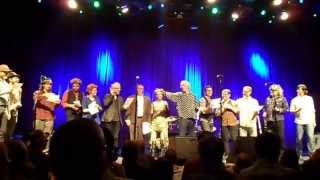 ROBYN HITCHCOCK San Francisco 2013 "Furry Green Atom Bowl" Live