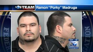 ALMIGHTY IMPERIAL GANGSTERS TAKEDOWN