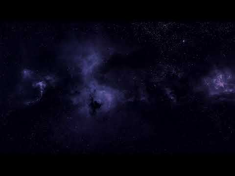 InTheory Live Stream