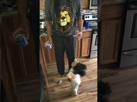 Nova stay begging for food #foryou #fyp #nova #funny