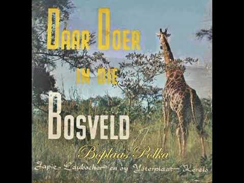 Boeremusiek - Japie Laubscher - Boplaas Polka