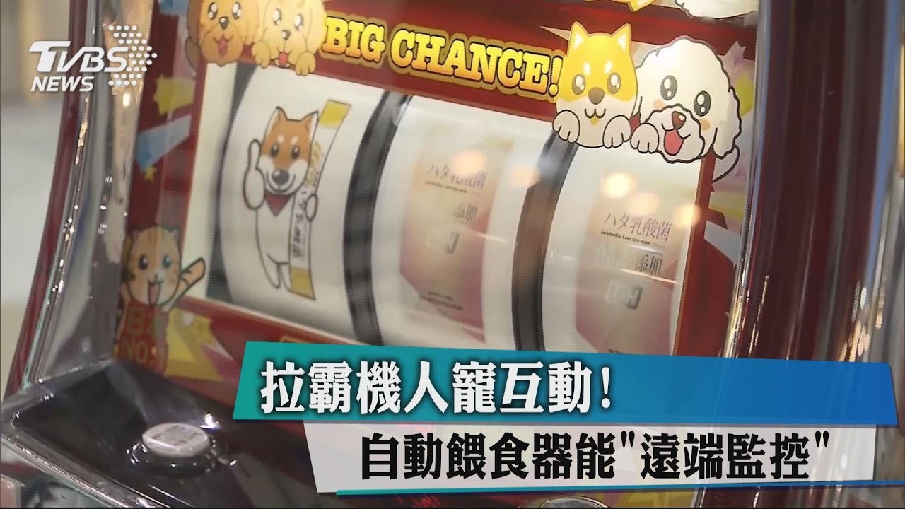 拉霸機人寵互動! 自動餵食器能「遠端監控」