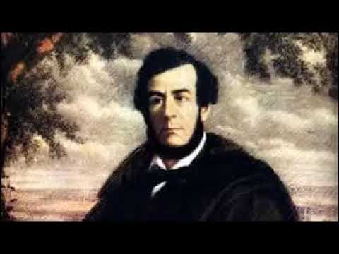 José Esteban Echeverría Espinosa - The Pansy