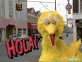 Sesame Street Wish You Were Here Union City New Jersey