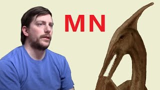 Pterodactyl Sightings