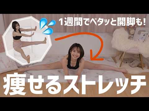 youtube-美容・ダイエット・健康記事2026/03/11 08:23:49