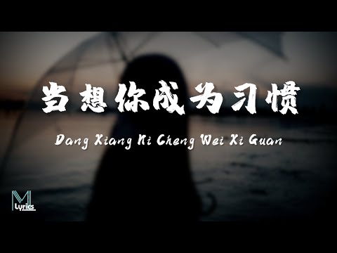 KeyKey - Dang Xiang Ni Cheng Wei Xi Guan (当想你成为习惯) Lyrics 歌词 Pinyin/English Translation (動態歌詞)