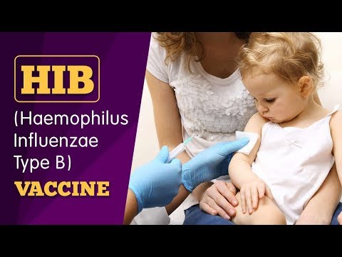 Immunizing Your Child - HiB (Haemophilus Influenzae Type B) Vaccine