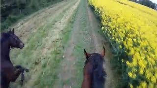 preview picture of video 'Waddesdon Sponsored Ride - Helmet Cam'