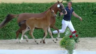 Video of Grenzhoehes Oliver Twist