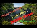 Olave Maunave Female Version Song Ganga Yamuna By Swarna Rk