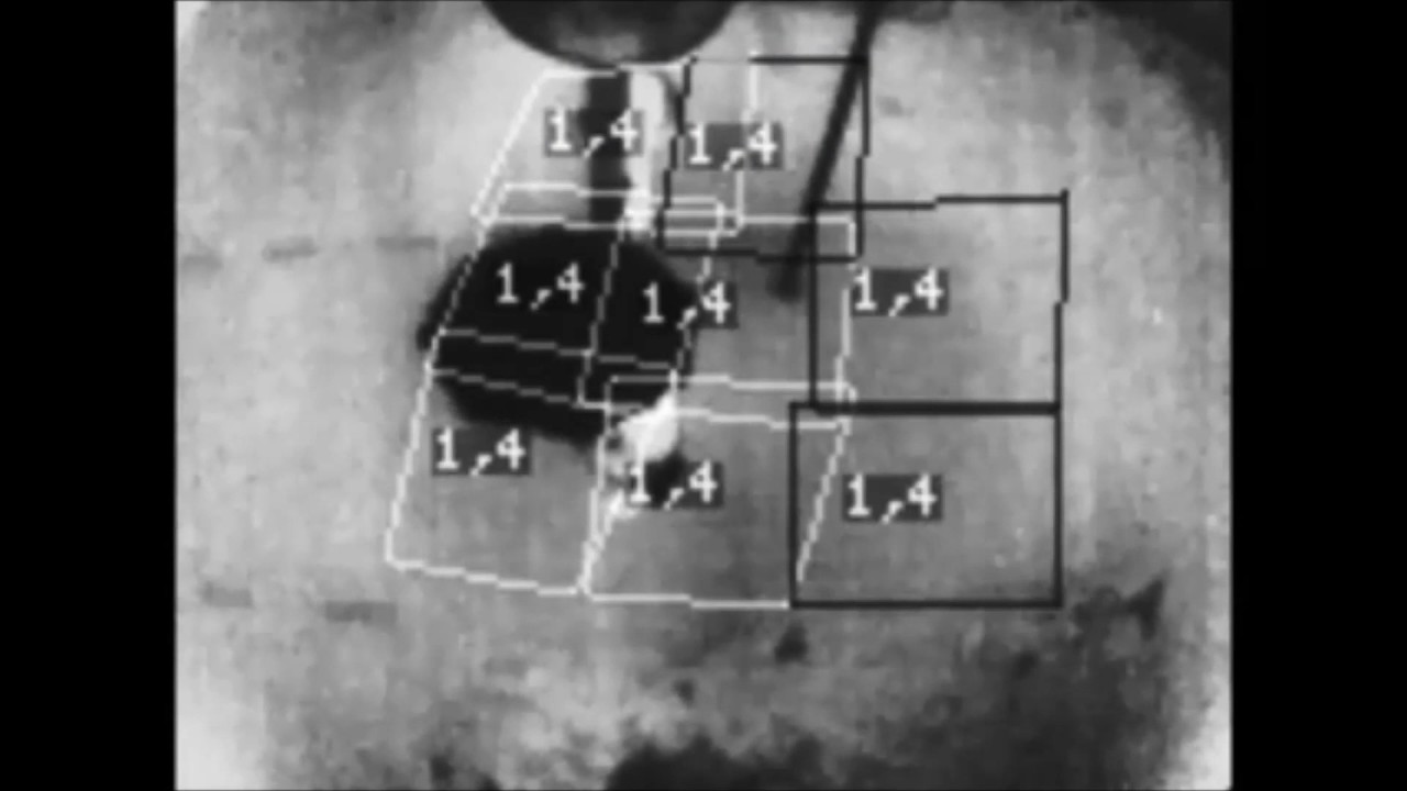 FLIR TrafiCam 3