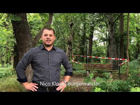 Eine Liebesinsel für Neverin