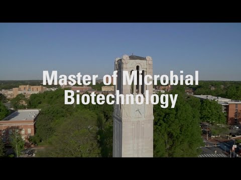 MMB/MBA Duel-Degree at NC State